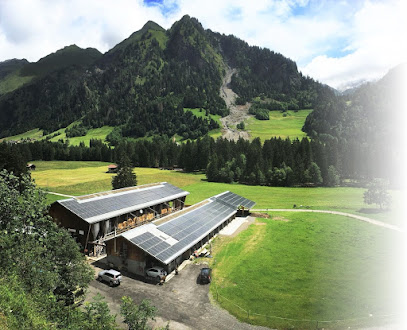 Azienda agricola Alnéid