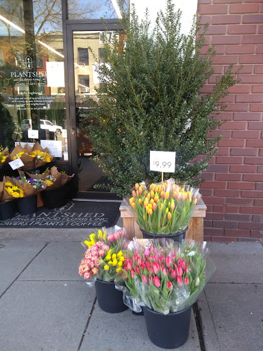 Florist «Englewood Florist, Inc.», reviews and photos, 47 E Palisade Ave, Englewood, NJ 07631, USA