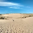 Dune Shacks Trail