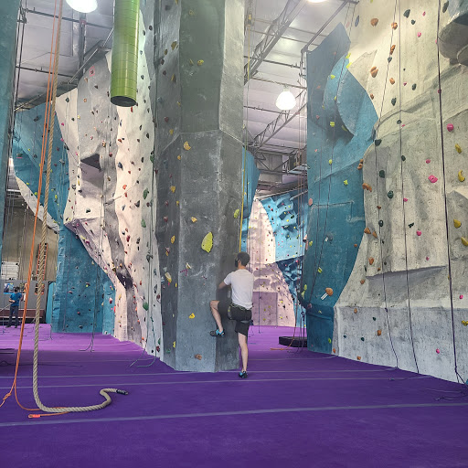 Ape Index Rock Climbing Gym