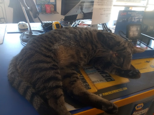 Auto Parts Store «NAPA Auto Parts - Kkr Automotive», reviews and photos, 21295 Mission Blvd, Hayward, CA 94541, USA