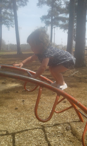 Park «Bowers Park Disc Golf Course», reviews and photos, Bowers Park Dr, Tuscaloosa, AL 35405, USA