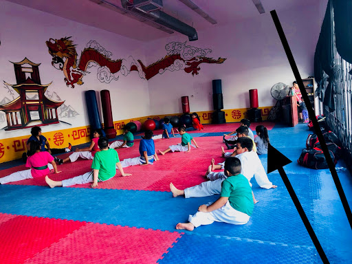 Unified Tae Kwon Do schools