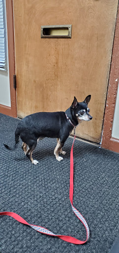 Animal Hospital «Blue Cross Pet Hospital», reviews and photos