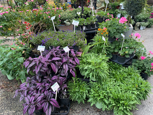 Grocery Store «Bayshore Market», reviews and photos, 5025 Bayshore Blvd, Tampa, FL 33611, USA