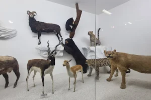 Pakistan Museum of Natural History image