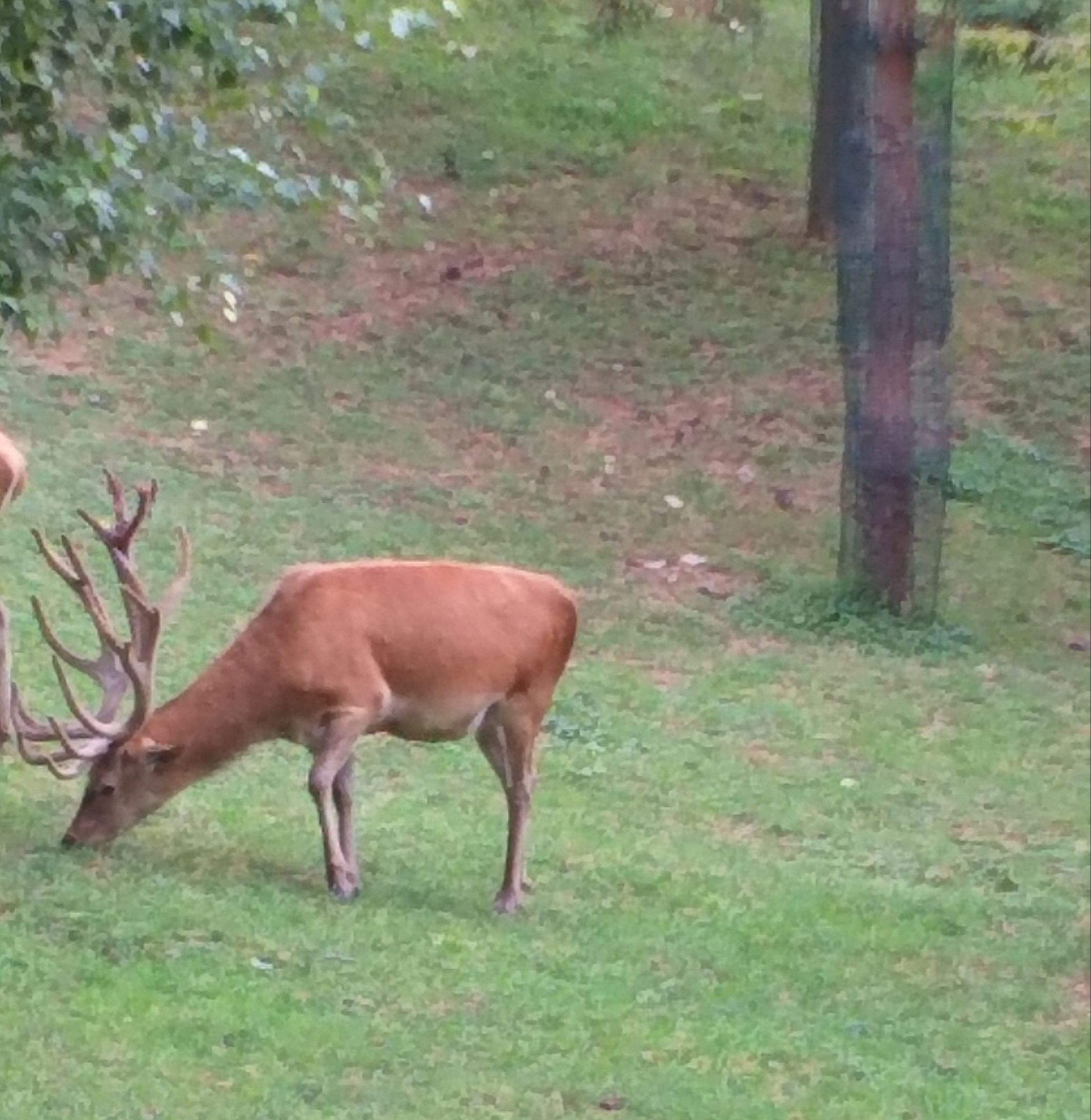 Photo n° 7 de l'avis de Caroline.e fait le 11/08/2019 à 21:48