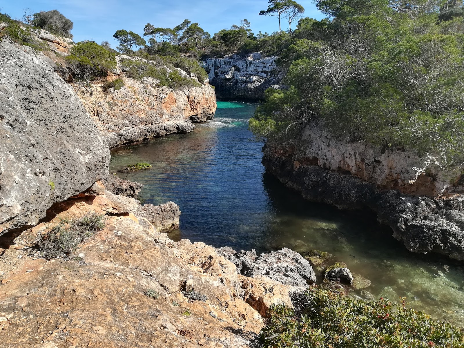 Photo of Cala Beltran located in natural area
