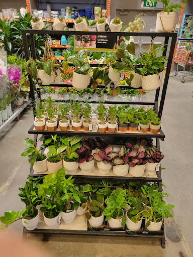 Home Improvement Store «The Home Depot», reviews and photos, 6345 Variel Ave, Woodland Hills, CA 91367, USA