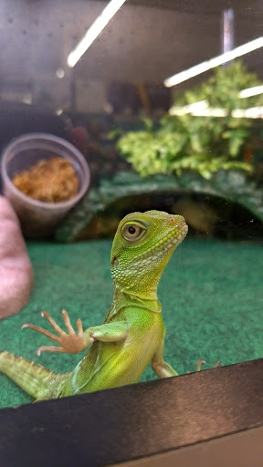 Pet Supply Store «Pet Supplies Plus», reviews and photos, 1810 Declaration Dr, Independence, KY 41051, USA