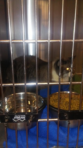 Pet Supply Store «PetSmart», reviews and photos, 5465 Dressler Rd NW, North Canton, OH 44720, USA