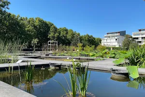 Jardin Botanique de Bordeaux image