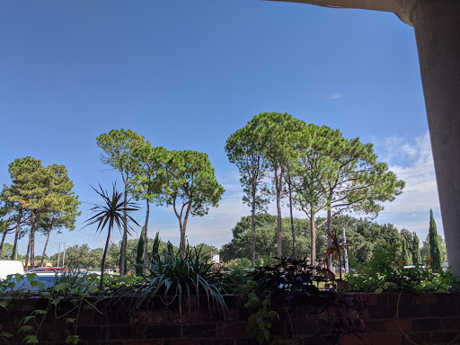 Cajun Restaurant «French Quarter Cajun Seafood», reviews and photos, 7099 Hwy 6, Houston, TX 77095, USA