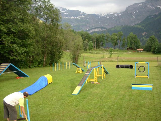 Hundesport Lenk - Hundeschule