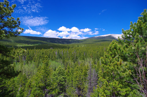 Sightseeing Tour Agency «Aspire Tours», reviews and photos, 6275 W 38th Ave, Wheat Ridge, CO 80033, USA