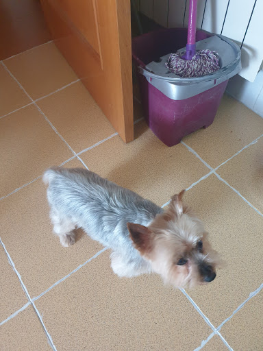 Centro Veterinario Vetplaza en Valdemoro