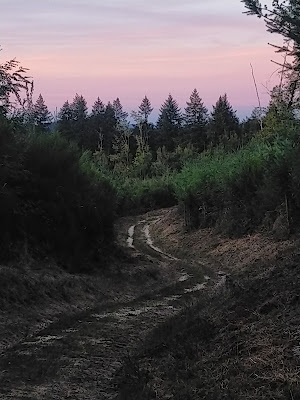 La Gagere à Luzy