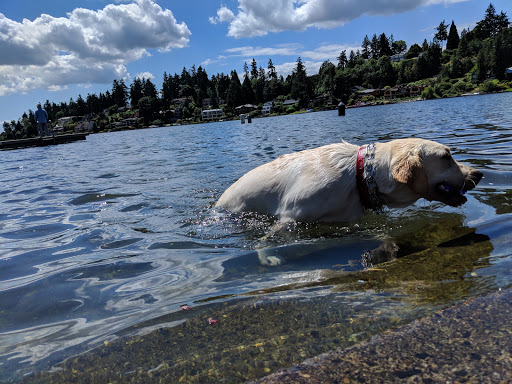 Park «Clyde Beach Park», reviews and photos, 2 92nd Ave NE, Bellevue, WA 98004, USA