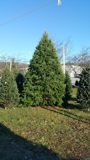 Garden Center «Hilltop Nursery & Garden Center», reviews and photos, 2028 Albany Post Rd, Croton-On-Hudson, NY 10520, USA