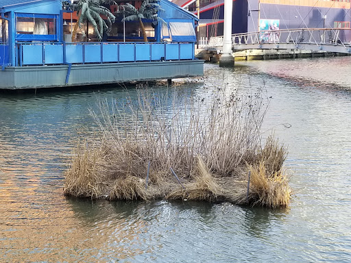 Aquarium «National Aquarium», reviews and photos, 501 E Pratt St, Baltimore, MD 21202, USA