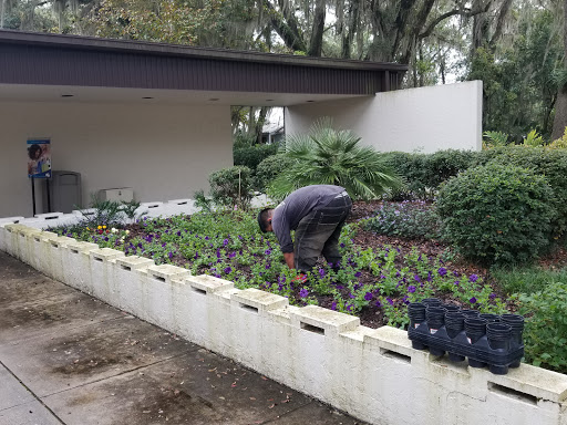 Travel Agency «AAA Gainesville», reviews and photos