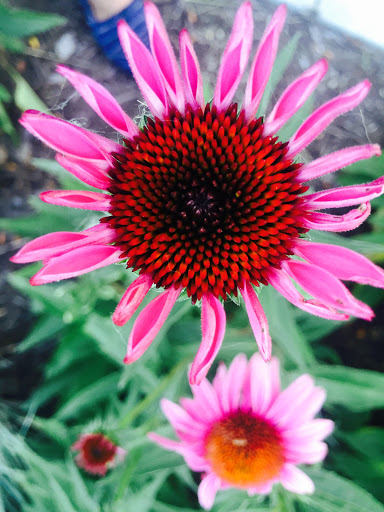 Art Museum «Wichita Art Museum», reviews and photos, 1400 Museum Blvd, Wichita, KS 67203, USA