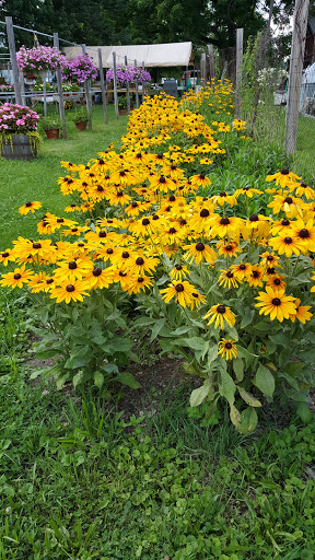 Produce Market «Crane Farm», reviews and photos, 270 S Maple Ave, Basking Ridge, NJ 07920, USA