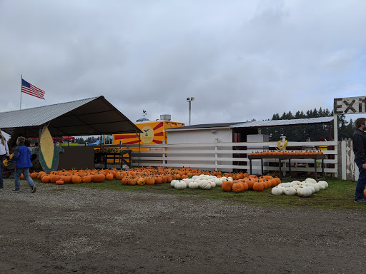 Pumpkin Patch «Rutledge Corn Maze LLC», reviews and photos, 302 93rd Ave SE, Olympia, WA 98501, USA