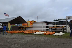 Rutledge Corn Maze LLC image