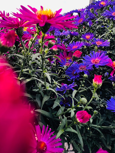 Home Improvement Store «The Home Depot», reviews and photos, 2699 Henry St, Muskegon, MI 49441, USA