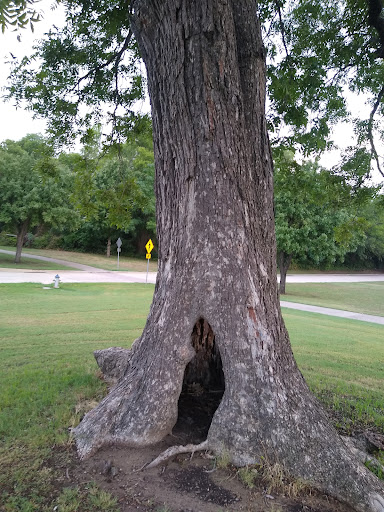 Nature Preserve «Elm Fork Nature Preserve Trail Entrance», reviews and photos, 2335 Sandy Lake Rd, Carrollton, TX 75006, USA