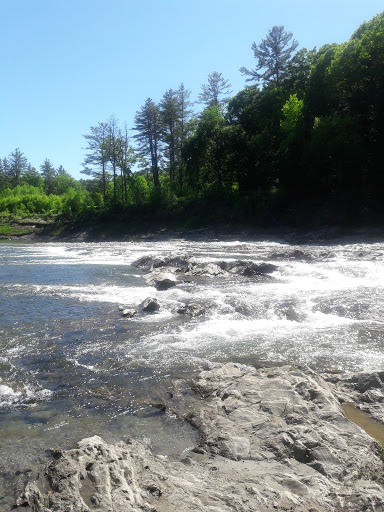 Environmental Organization «VINS Nature Center», reviews and photos, 6565 Woodstock Rd, Quechee, VT 05059, USA