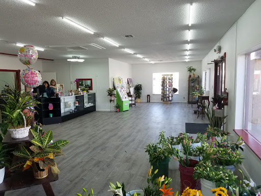 Florist «Mandarin Orchid House», reviews and photos, 3137 Stockton Hill Rd, Kingman, AZ 86401, USA