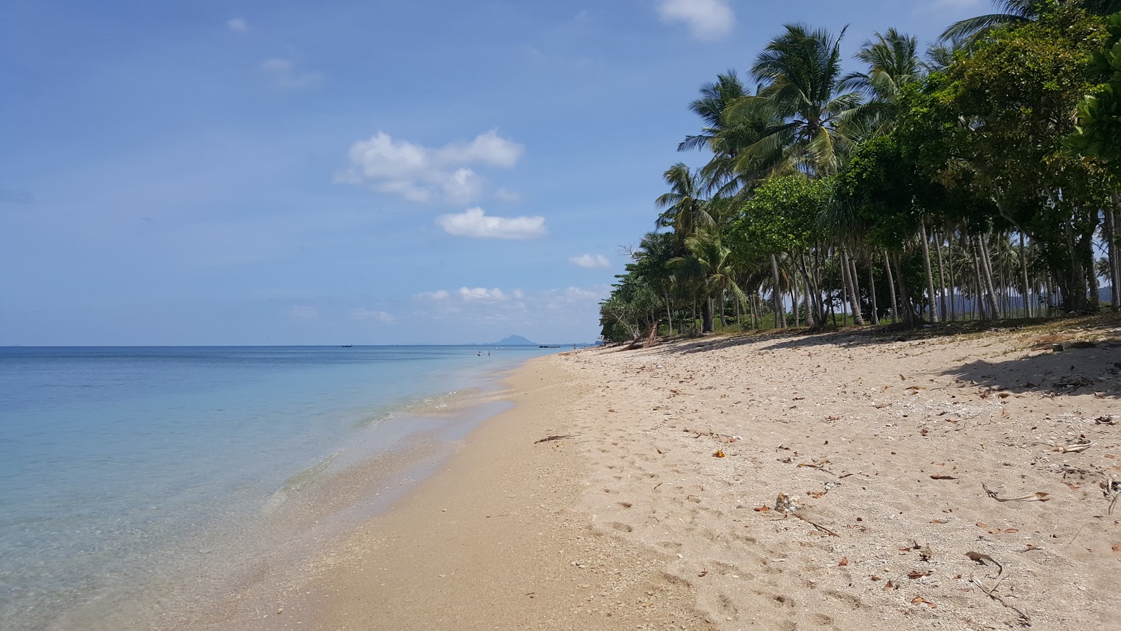 Foto van Coconut Palm Beach met beige zand oppervlakte