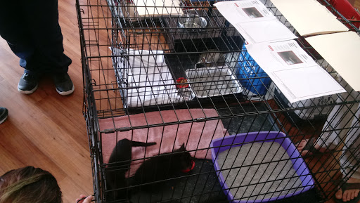 Pet Supply Store «Pet Supermarket», reviews and photos, 99 Eglin Pkwy NE #32a, Fort Walton Beach, FL 32548, USA