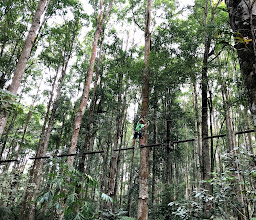 Bali Treetop Adventure Park photo