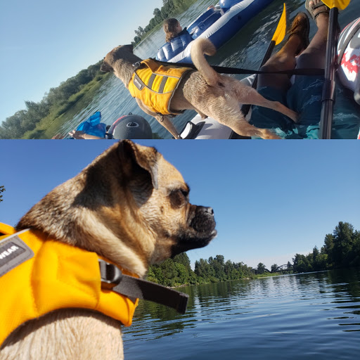 Sporting Goods Store «Big 5 Sporting Goods», reviews and photos, 4665 Commercial St SE, Salem, OR 97302, USA