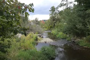 Salmon Run Nature Park image