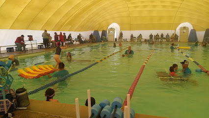 AnT Swim School