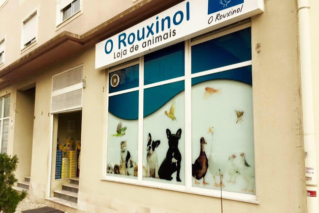 O Rouxinol - loja de animais