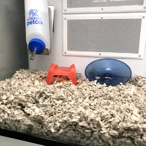 Pet Supply Store «Petco Animal Supplies», reviews and photos, 5263 Campbell Blvd, Nottingham, MD 21236, USA
