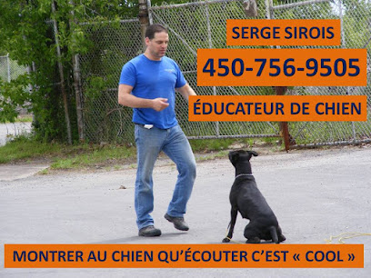Serge Sirois - Dressage et Éducation Canine à domicile