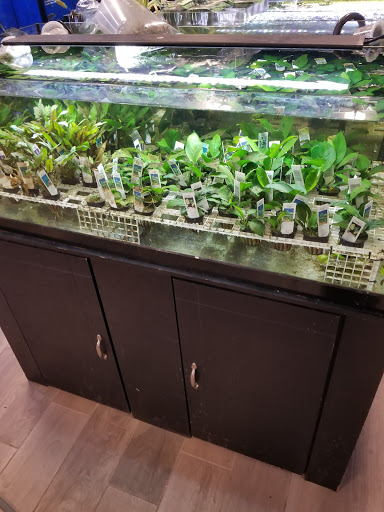 Tropical Fish Store «Aquatic Wildlife Co», reviews and photos, 70 Buckland Rd, South Windsor, CT 06074, USA