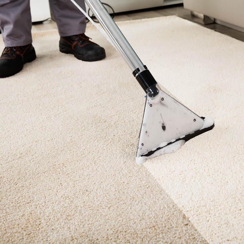 Bristol Carpet Cleaning