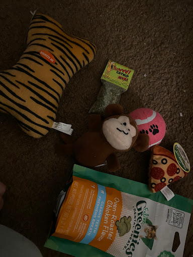 Pet Supply Store «Baltimore Pet Shoppe», reviews and photos, 4532 Baltimore Ave, Philadelphia, PA 19143, USA