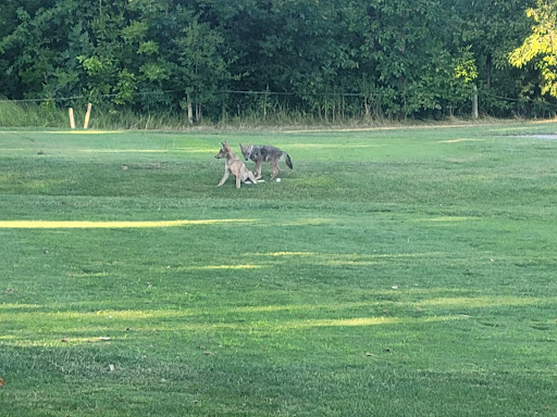 Golf Course «Stony Creek Golf Course», reviews and photos, 5850 W 103rd St, Oak Lawn, IL 60453, USA