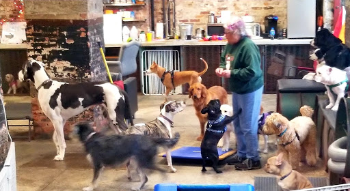 Pet Supply Store «Animal Outfitters, Inc.», reviews and photos, 986 Elmwood Ave, Buffalo, NY 14222, USA