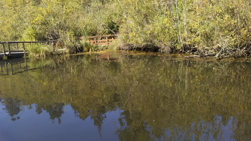 Park «Scriber Lake Park», reviews and photos, 5601 198th St SW, Lynnwood, WA 98036, USA