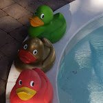 Photo n°3 de l'avis de Gina.a fait le 31/10/2020 à 07:54 sur le  Haus Nicklass à Ingelfingen