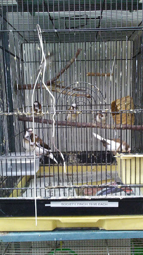 Tropical Fish Store «Midway Tropical Fish & Pets», reviews and photos, 24101 Pacific Hwy S, Kent, WA 98032, USA